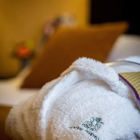 Mercure Chateau Chartrons בורדו